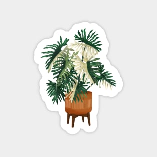 Philodendron Selloum Variegated Sticker